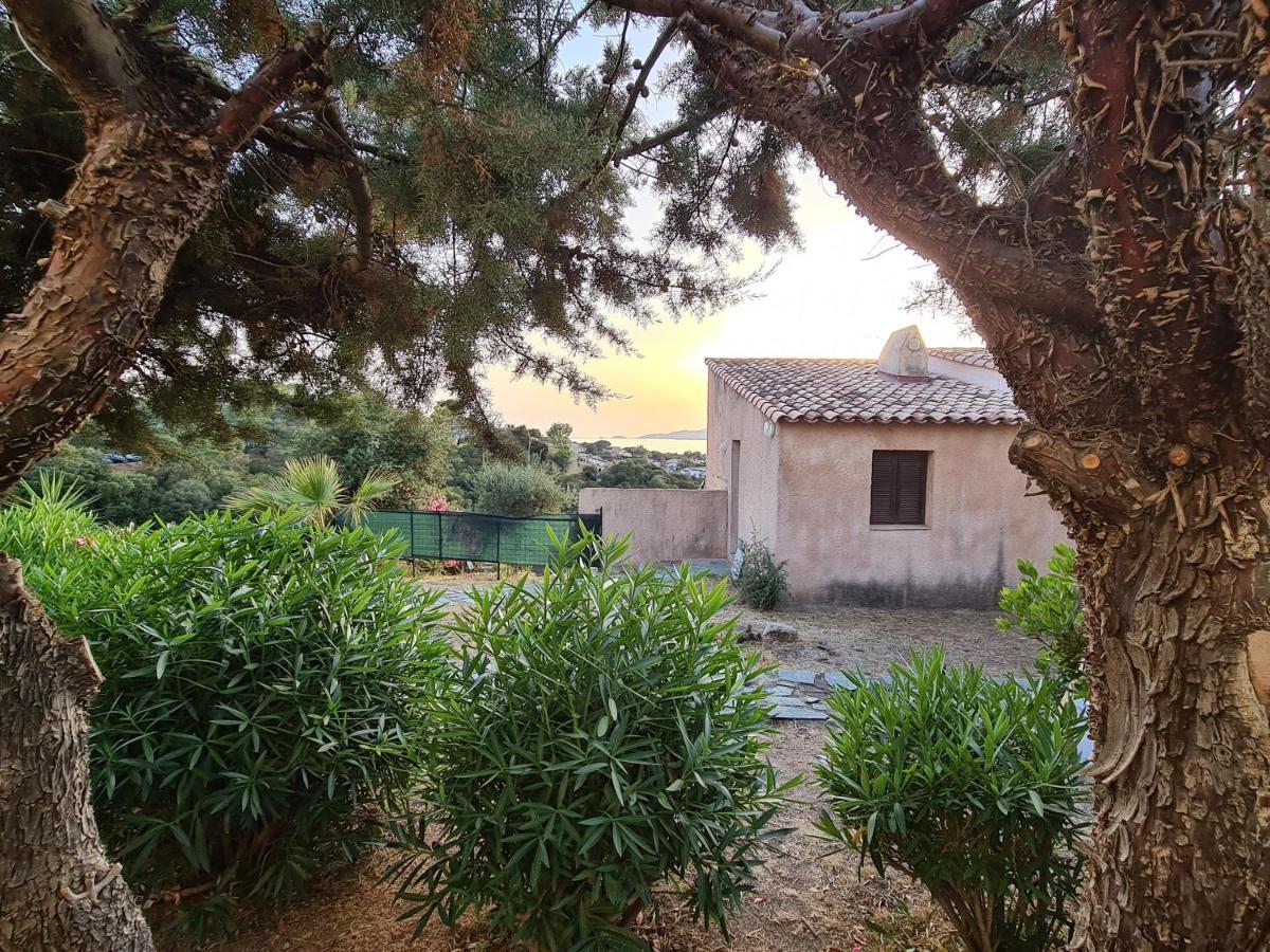 Studio Avec Terasse Vue Mer Porticcio  Bagian luar foto