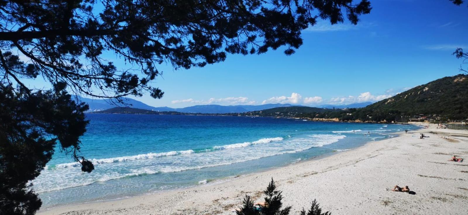 Studio Avec Terasse Vue Mer Porticcio  Bagian luar foto