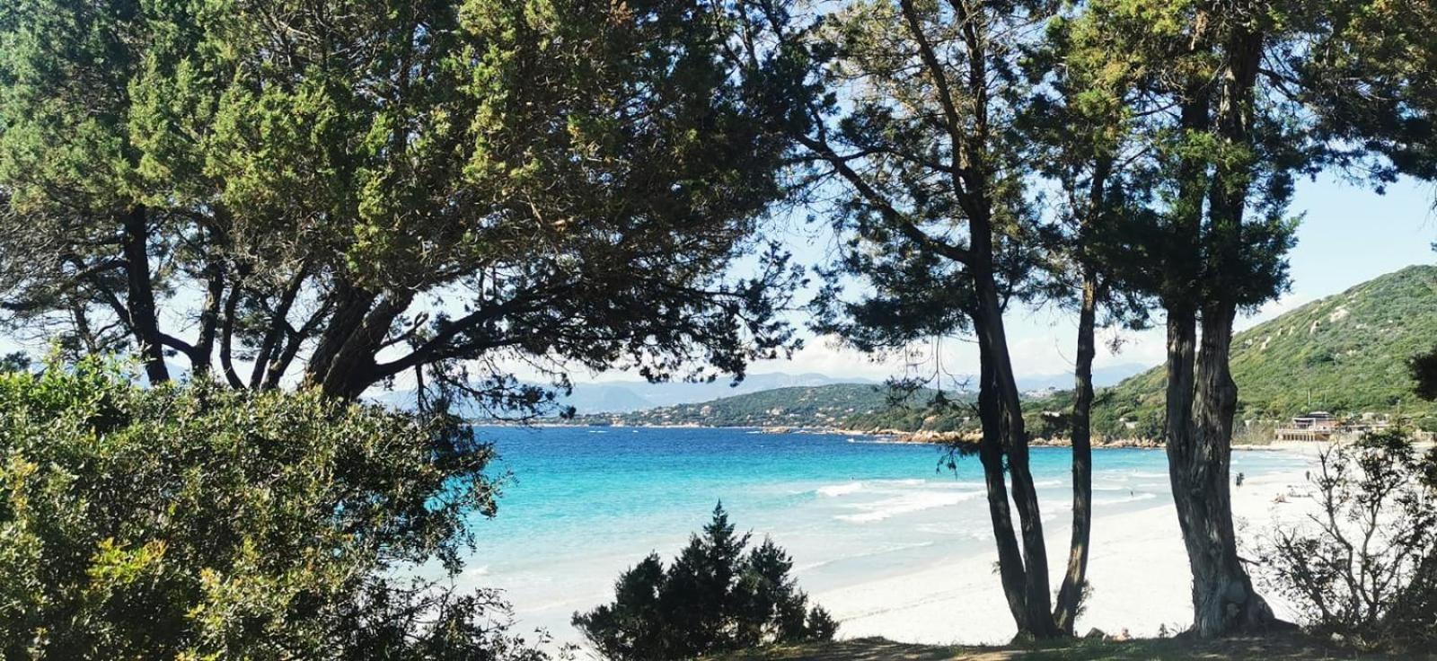 Studio Avec Terasse Vue Mer Porticcio  Bagian luar foto